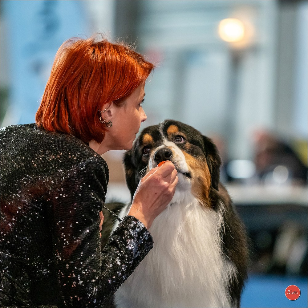 Photographie animalière. Photographe à Strasbourg | Portraits, Studio, Enfants, Événements