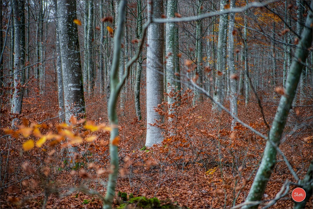 Rocher du Pfaffenlapp. Photographe à Strasbourg | Portraits, Studio, Enfants, Événements
