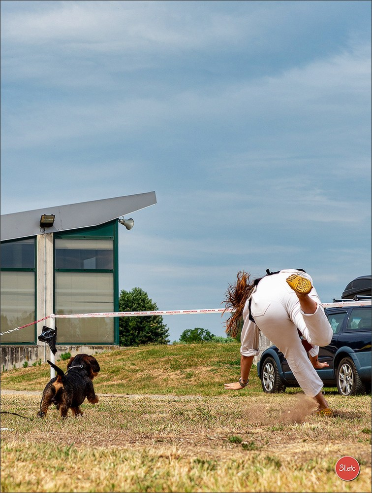 Expo canine (Teckel) Strasbourg Hoerdt  🇫🇷  5-6/07/2025. Photographe à Strasbourg | Portraits, Studio, Enfants, Événements