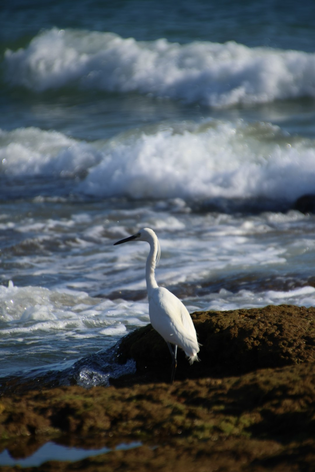 Portugal 2024. Марина фотограф из Нюрнберга