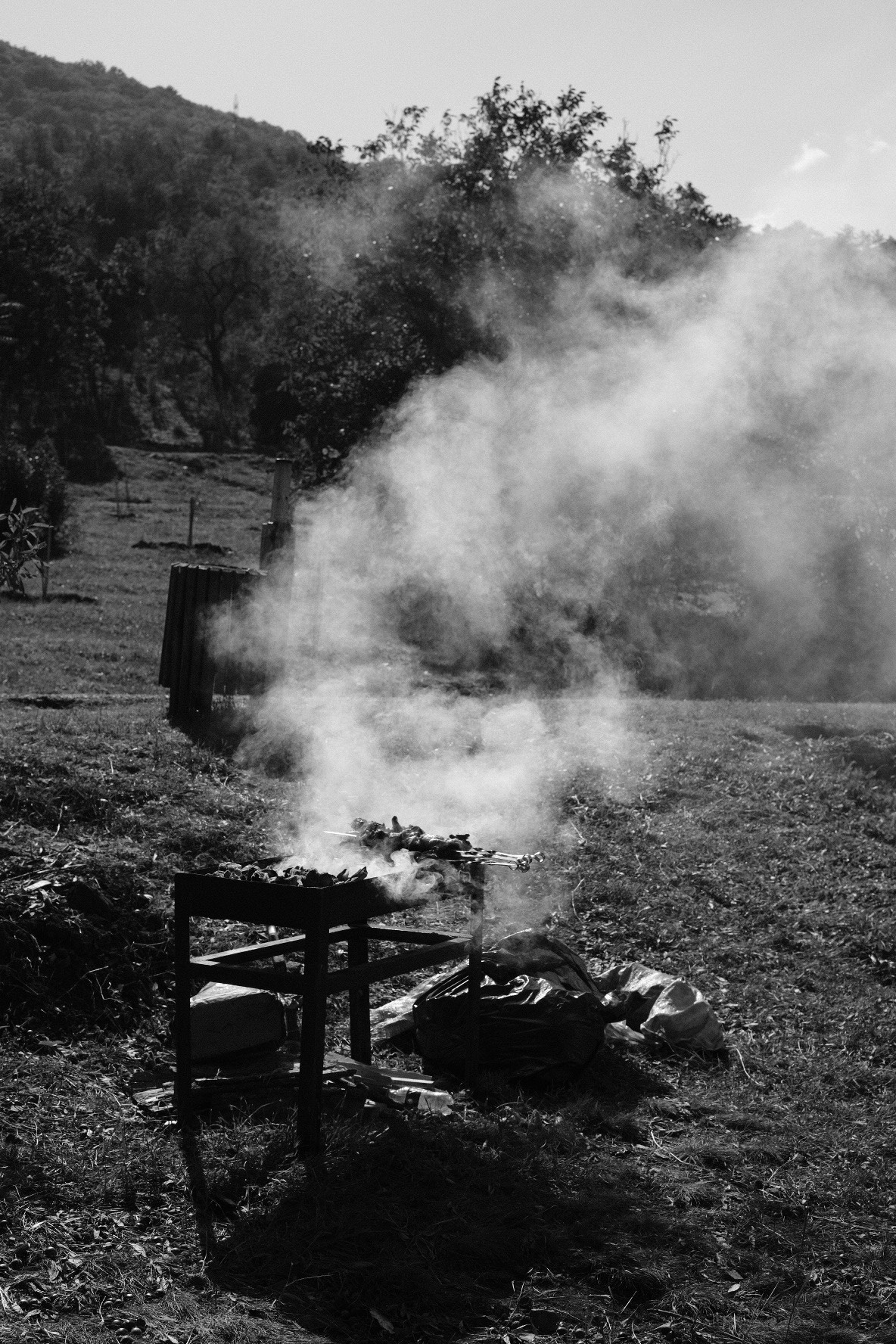 თბილისობა 2024. @Gio.Fujifilm official Fujifilm Ambassador & X-Photographer in Georgia