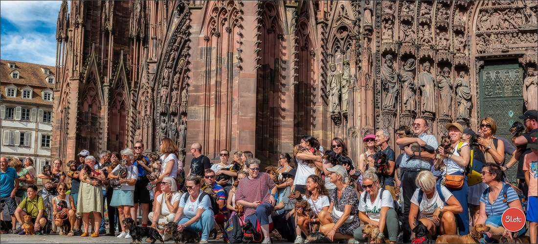 Teckels Parade Strasbourgeoise  Vous pouvez voir le galerie de photos. Photographe à Strasbourg | Portraits, Studio, Enfants, Événements