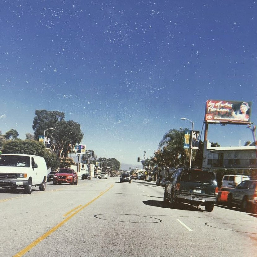 Lens work from the field 10