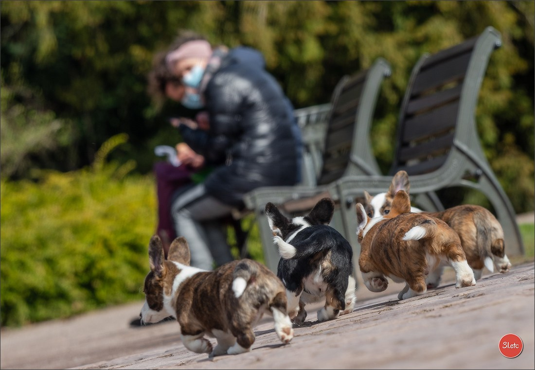 Photographie animalière. Photographe à Strasbourg | Portraits, Studio, Enfants, Événements