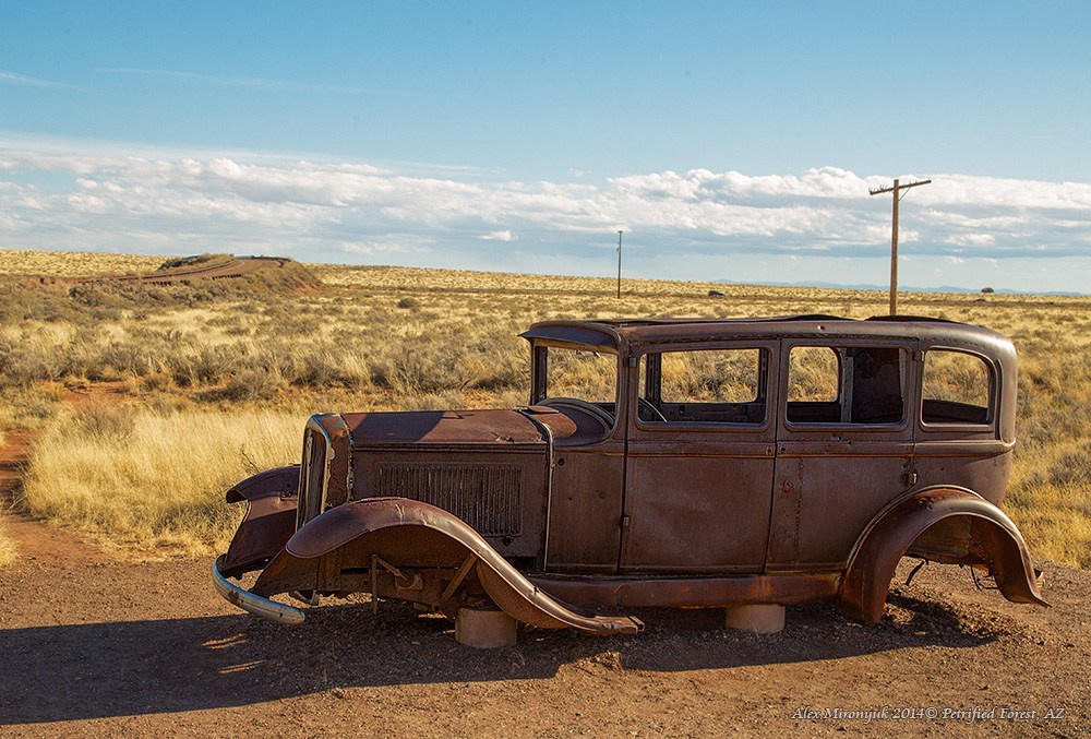 Eagle’s View — Arizona. Pet, Senior, Landscape, portrait studio, photographer in Miami and Sou