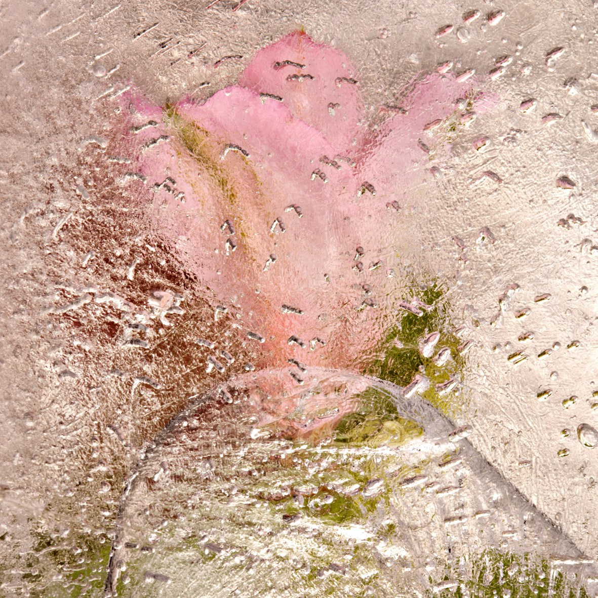 ALL RIGHTS RESERVED All images can be printed in 100 x 100 cm and 100 x 150 cm formats on the best fine art media. Other formats are available upon request. For further information, please contact the links on the main page of the site.