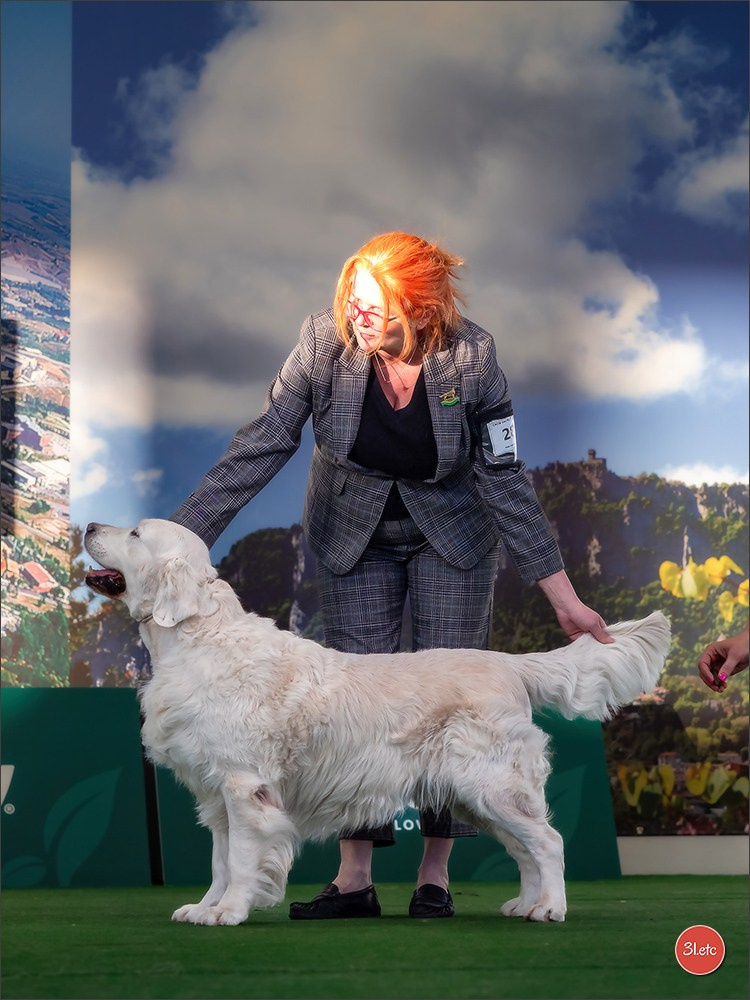 Dog Show  🇮🇹  San Marino. Photographe à Strasbourg | Portraits, Studio, Enfants, Événements