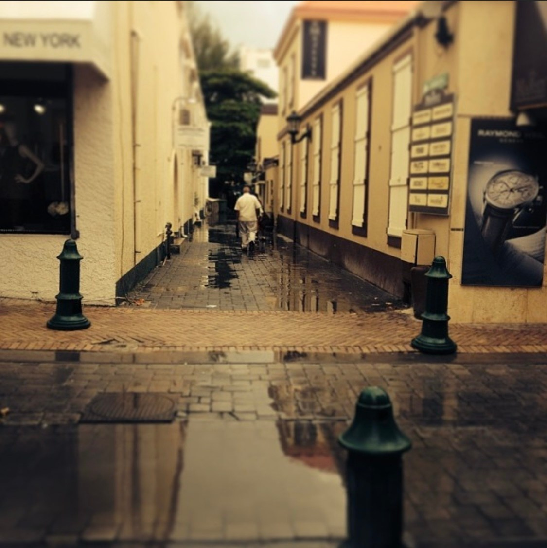 Lens Work From The Field 7