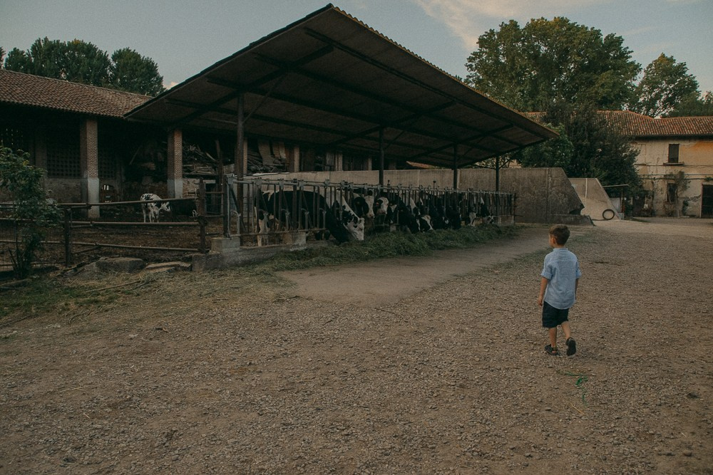 Farm. Anastasiia Buchinskaia Fotografa Milano