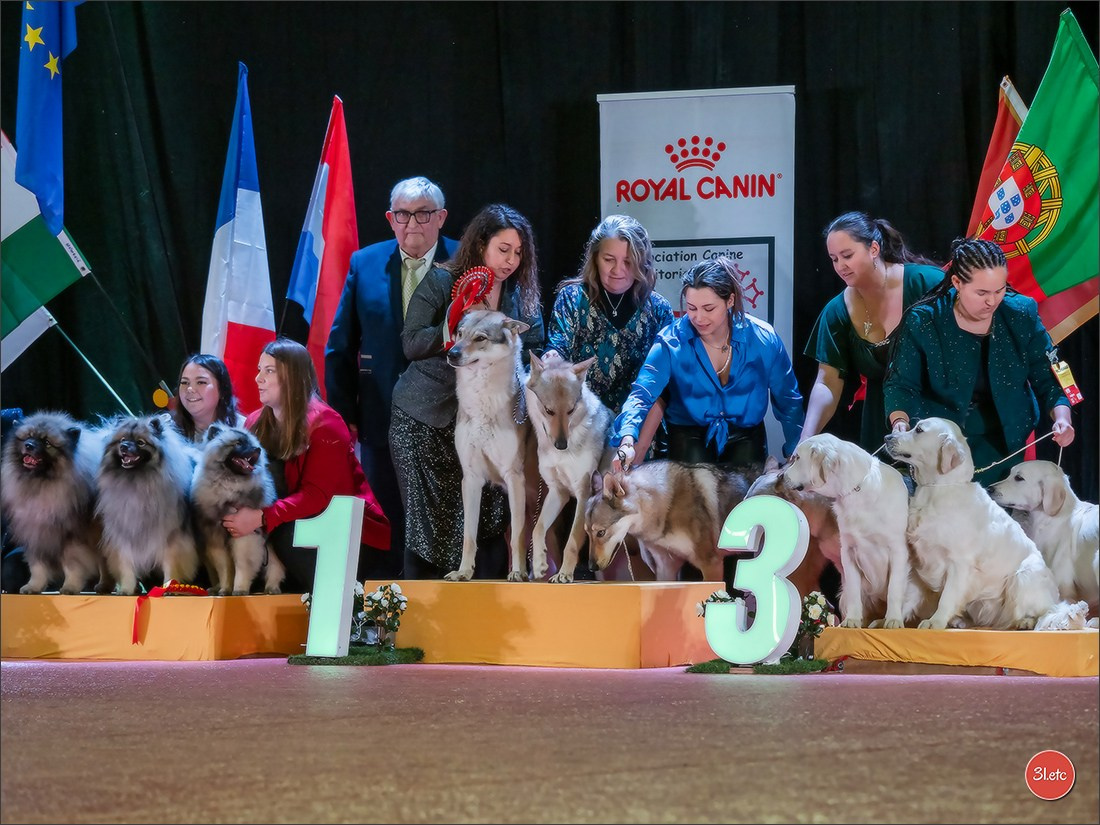 🇫🇷Exposition Canine Internationale de Perpignan. Photographe à Strasbourg | Portraits, Studio, Enfants, Événements