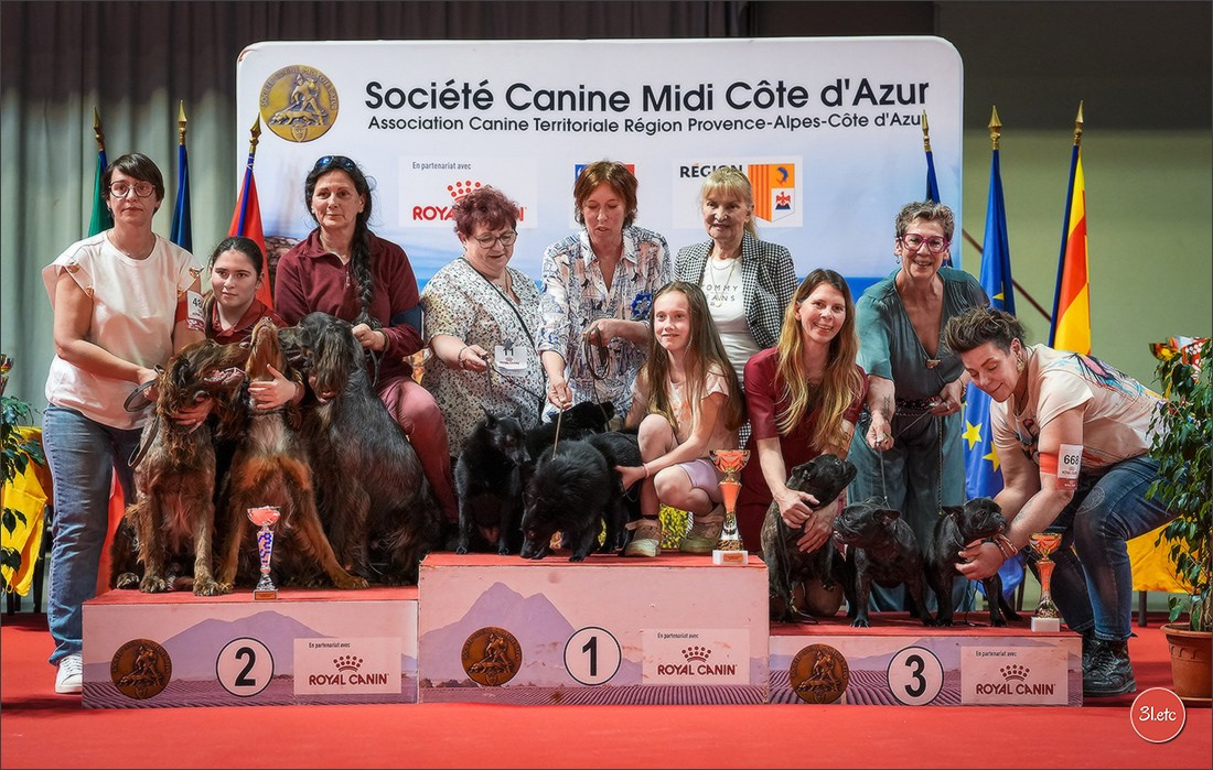 Expo canine 🇫🇷 Martigues 18-19/04/2026