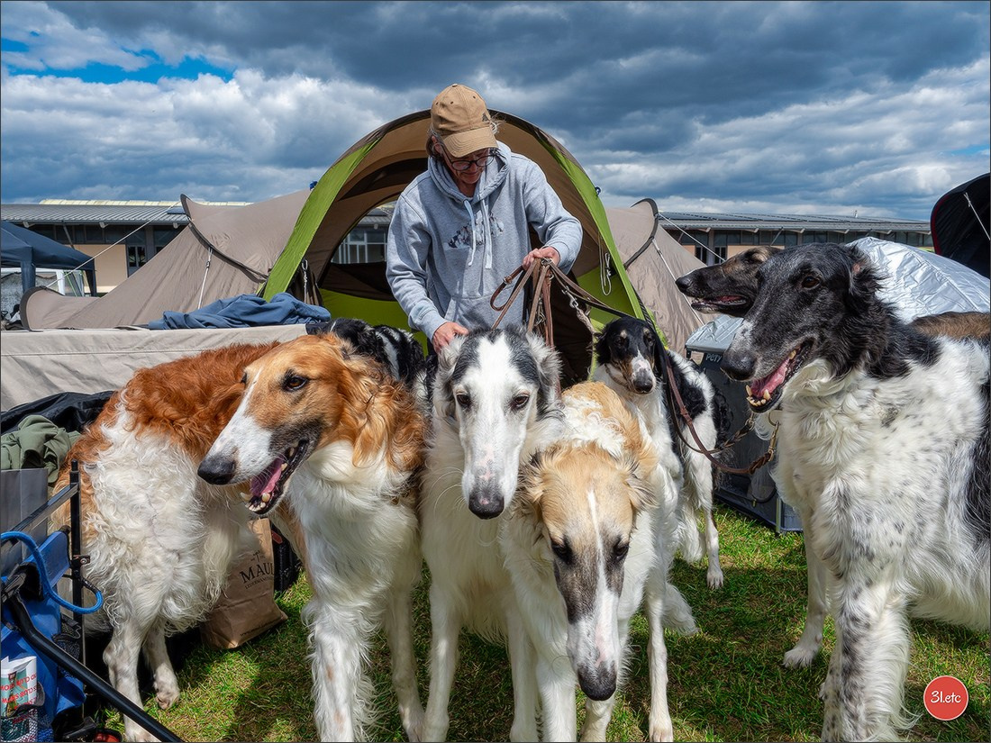 Dog Show Rieden 🇩🇪 16-18/05/2025. Photographe à Strasbourg | Portraits, Studio, Enfants, Événements