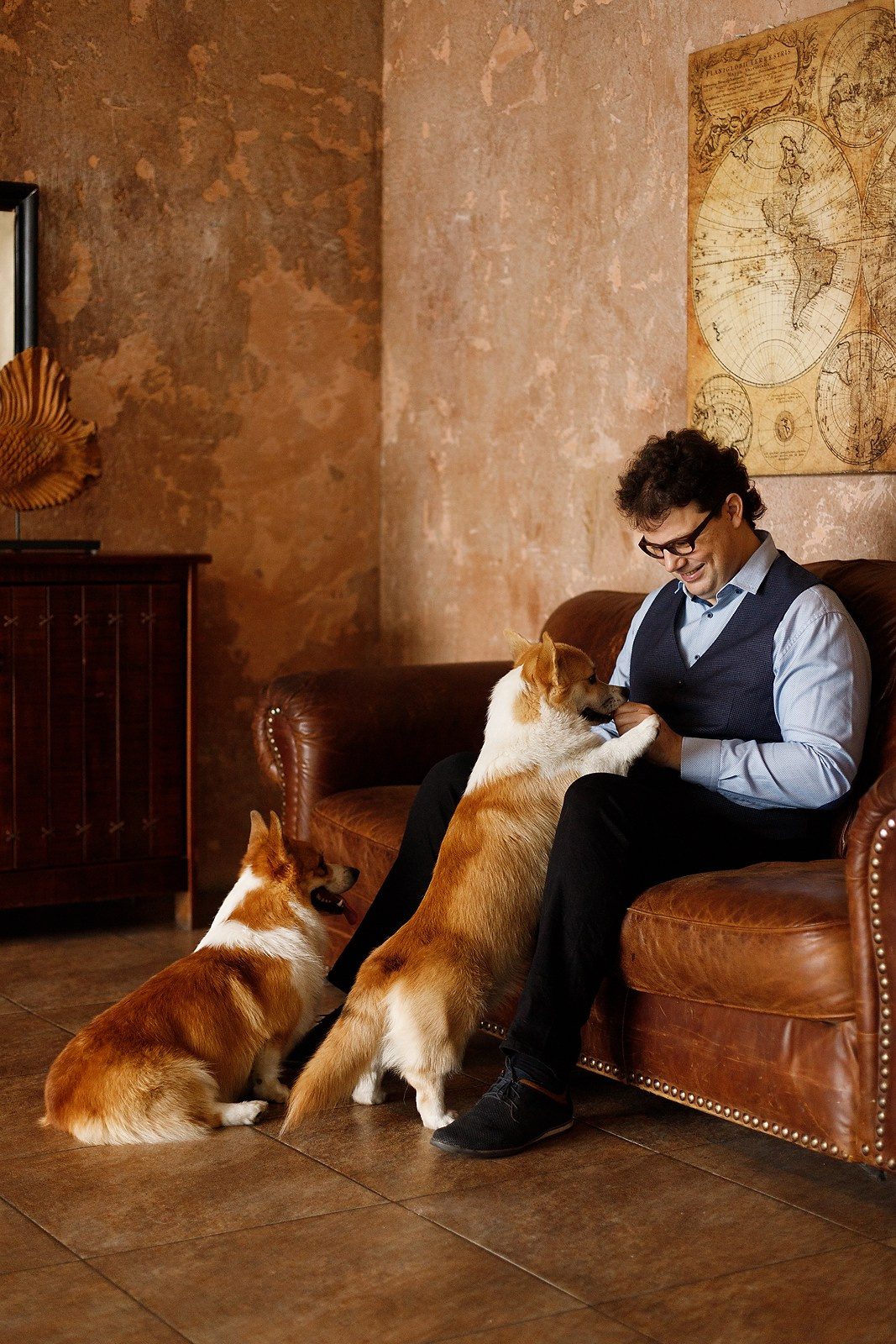 Corgis in studio, Moscow. Kaja | fotograf psów we Wrocławiu