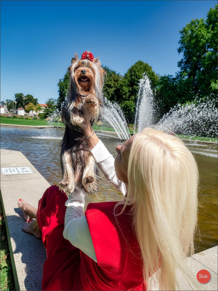 Dog Show Ludwigshafen  🇩🇪  16-17/08/2025. Photographe à Strasbourg | Portraits, Studio, Enfants, Événements