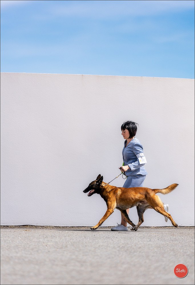 Expo canine 🇫🇷 Valence 02-03/05/2026