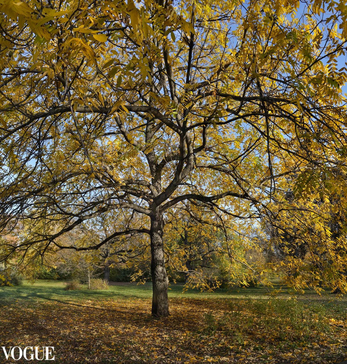 Красота садов и парков. Суть фотографии в стиле изобразительного искусства