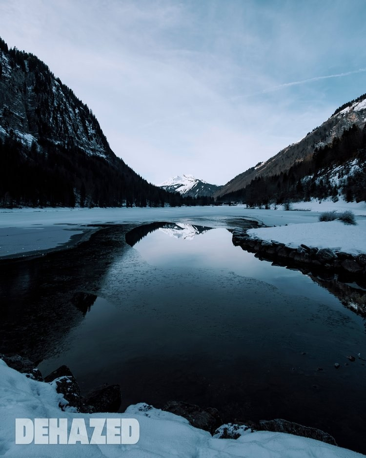 Publications. OLGA REPTIK