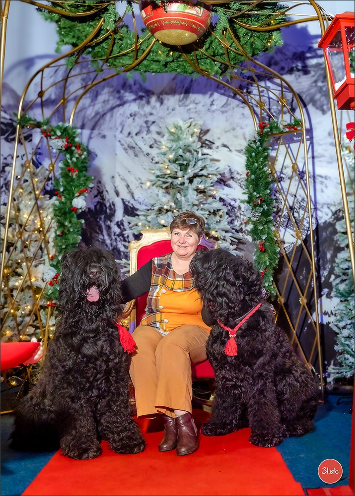 13-14.12.2025   🇧🇪   Brussels Dog Show. Photographe à Strasbourg | Portraits, Studio, Enfants, Événements