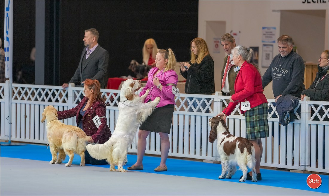 🇱🇺 LUXEMBOURG 🇱🇺 International Dog Show 4-5/04/2026. Photographe à Strasbourg | Portraits, Studio, Enfants, Événements