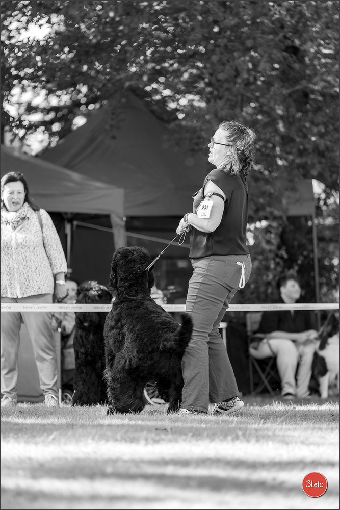 🇫🇷  CHARTRES  🇫🇷  2026  🇫🇷  Exposition Canine Nationale - Château des Boulard