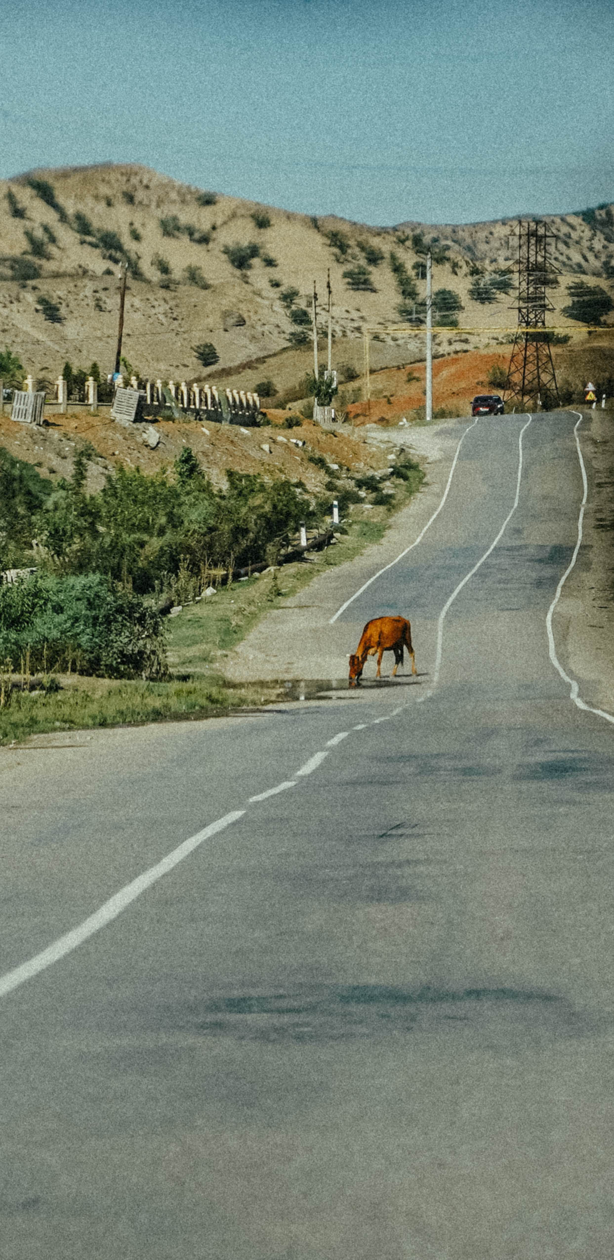 ПЕЙЗАЖИ. Стрит-фотография, полная абсурда, идиотизма и красоты