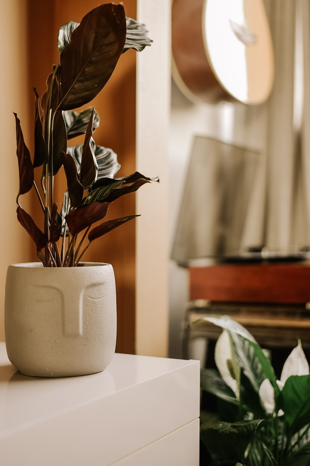 Obra Aconchego. Estúdio Laja | Arquitetura de Interiores