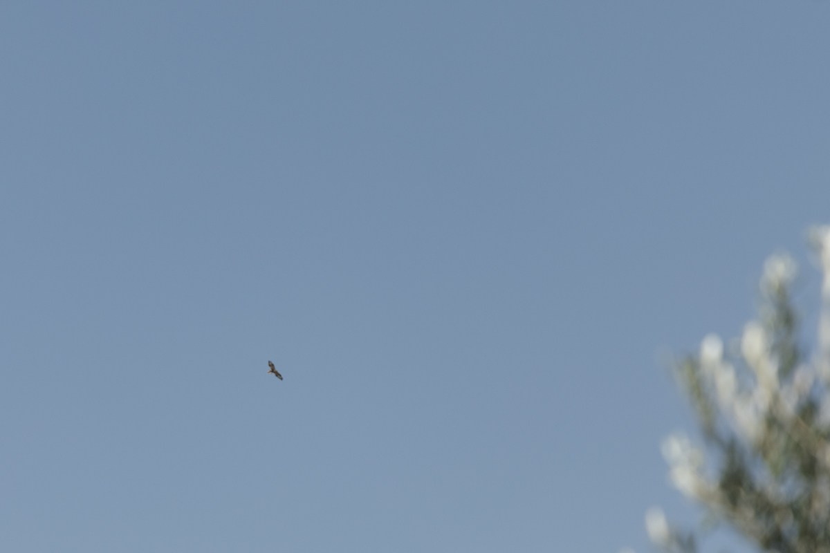 C & A Cyprus. Свадебный фотограф в Нидерландах и Европе — Тина Ялóва