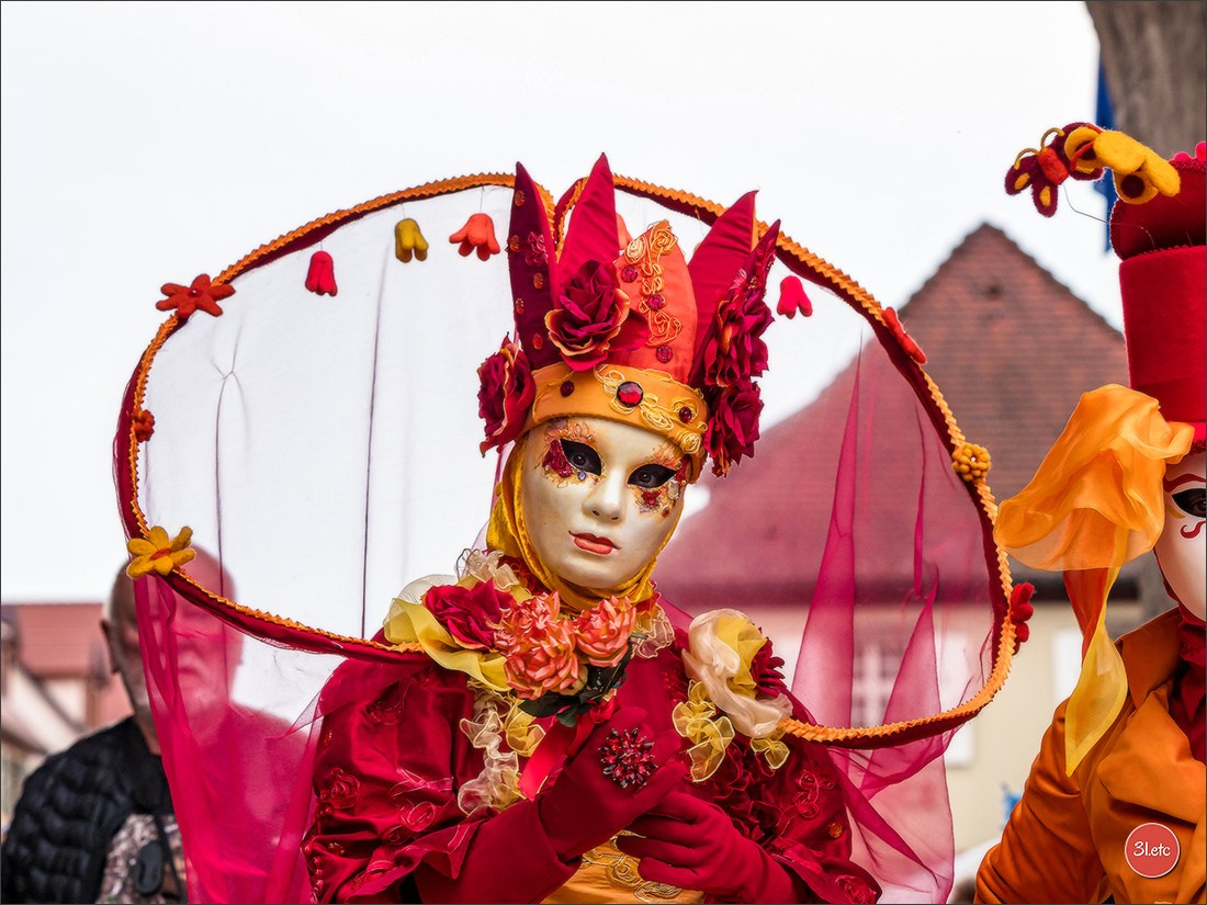 Carnaval venitien de Rosheim 2024. Photographe à Strasbourg | Portraits, Studio, Enfants, Événements