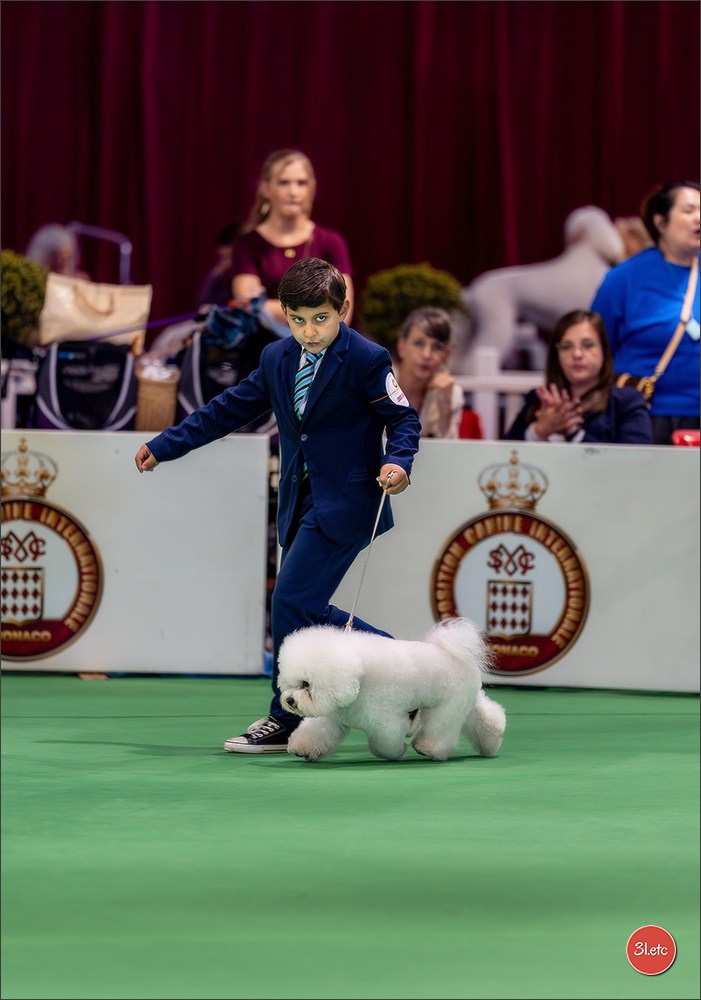 Expo canine 🇲🇨 Monaco 9-10/05/2026. Photographe à Strasbourg | Les animaux, Portraits, Studio, Événements