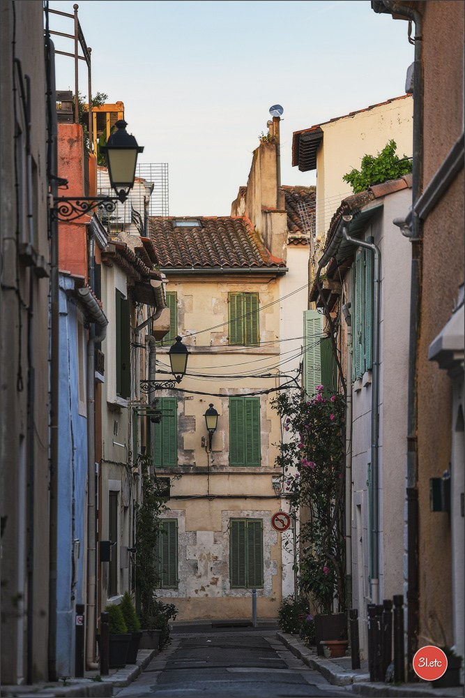 Martigues  🇫🇷. Photographe à Strasbourg | Les animaux, Portraits, Studio, Événements