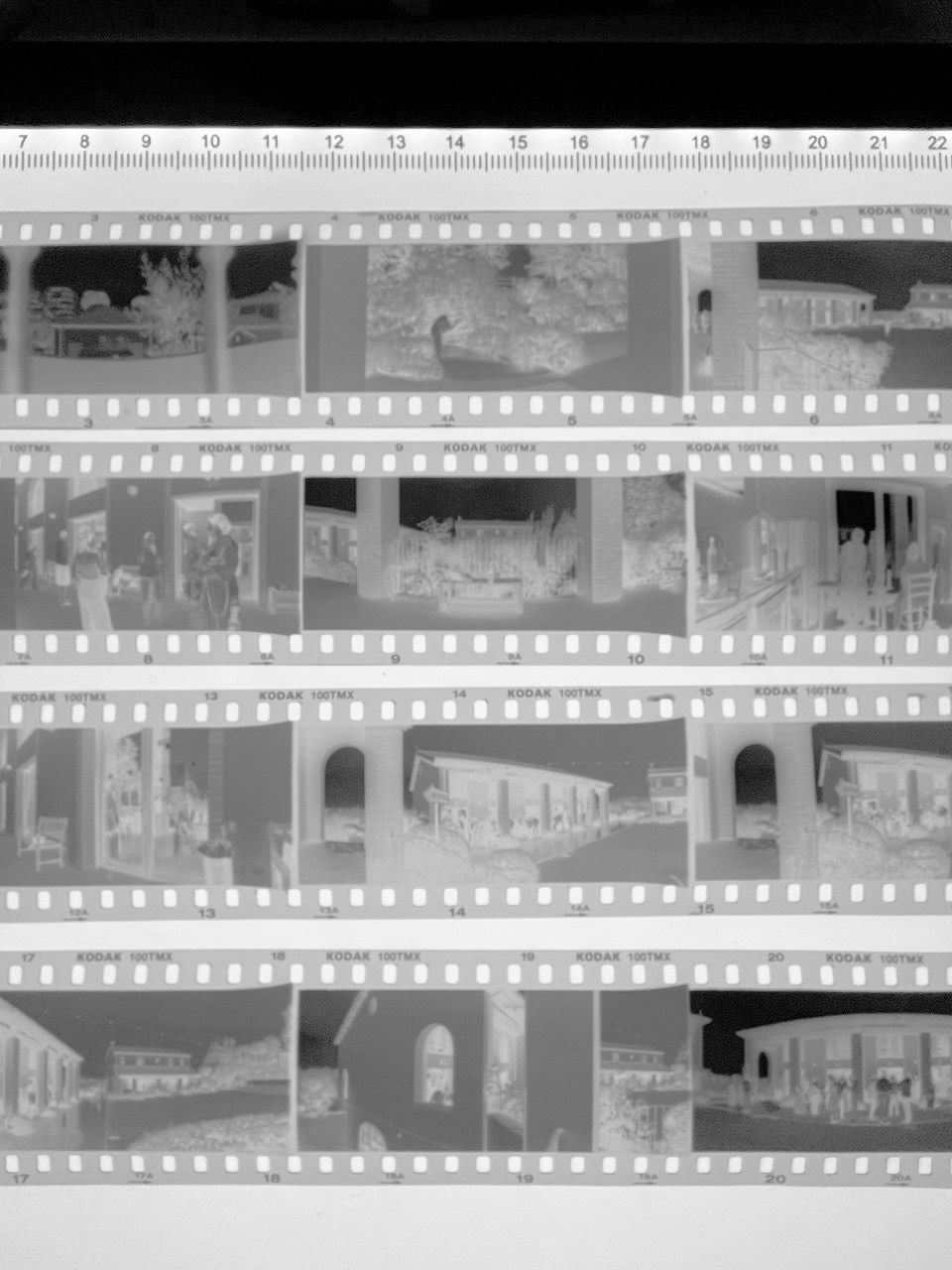 Pellicola panoramica