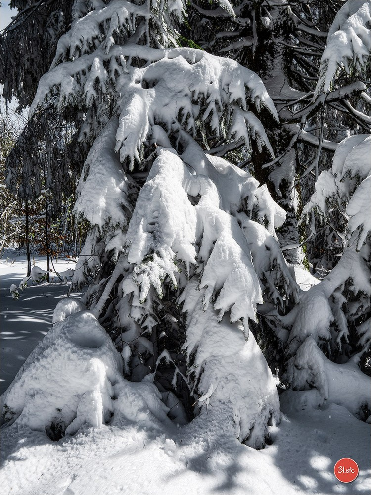 Temps étonnant fin avril en Alsace. Il a neigé. Photographe à Strasbourg | Portraits, Studio, Enfants, Événements