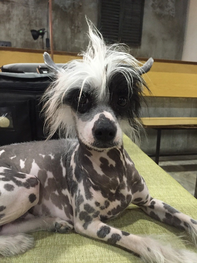 Studio Photogenic. Commercial and studio photographer in Belgrade