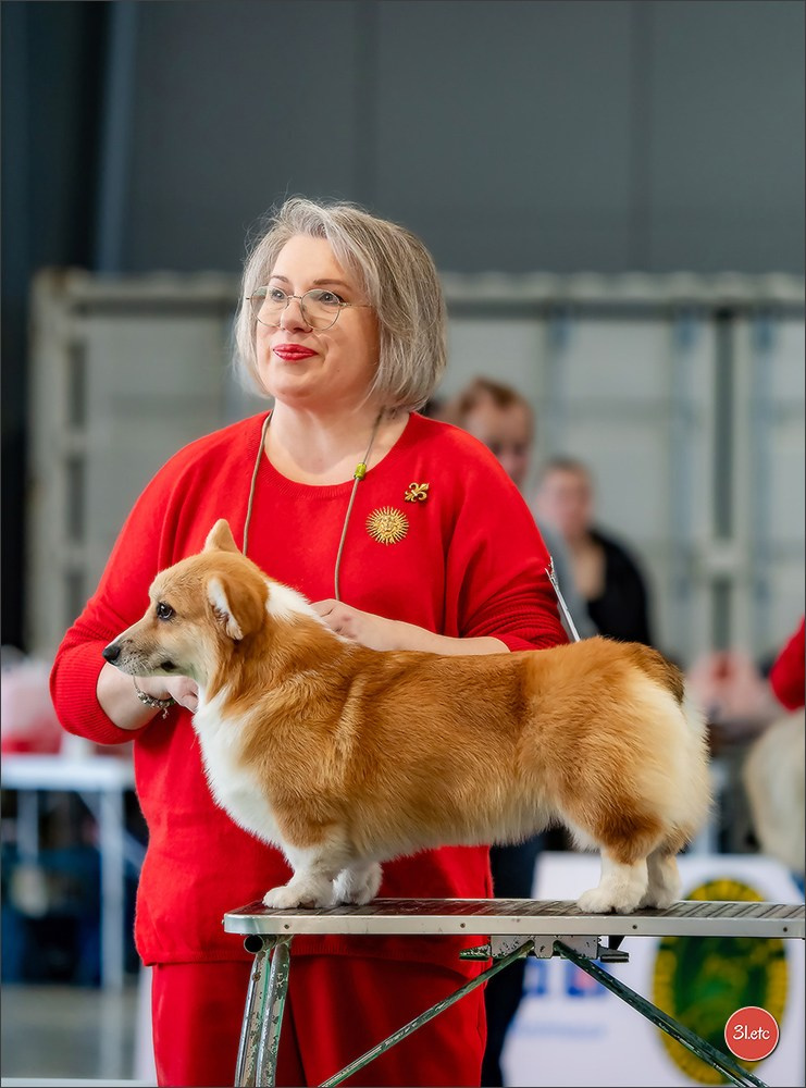 🇫🇷  Chalons en Champagne  🇫🇷  Expo canine  31/01-01/02/2026. Photographe à Strasbourg | Portraits, Studio, Enfants, Événements