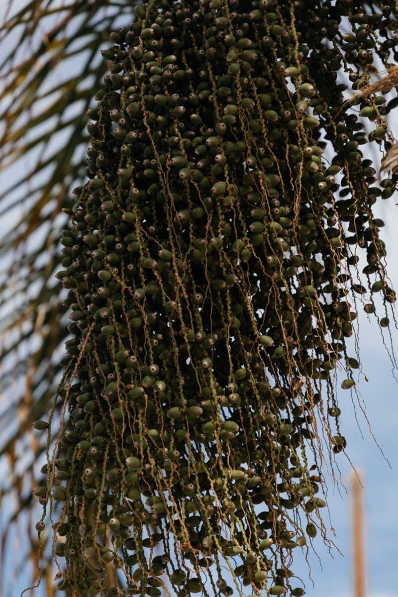 Double Christening of R & Z. Destination wedding photographer in Netherlands, Germany, Italy, Greece & Europe-Tina Yalova