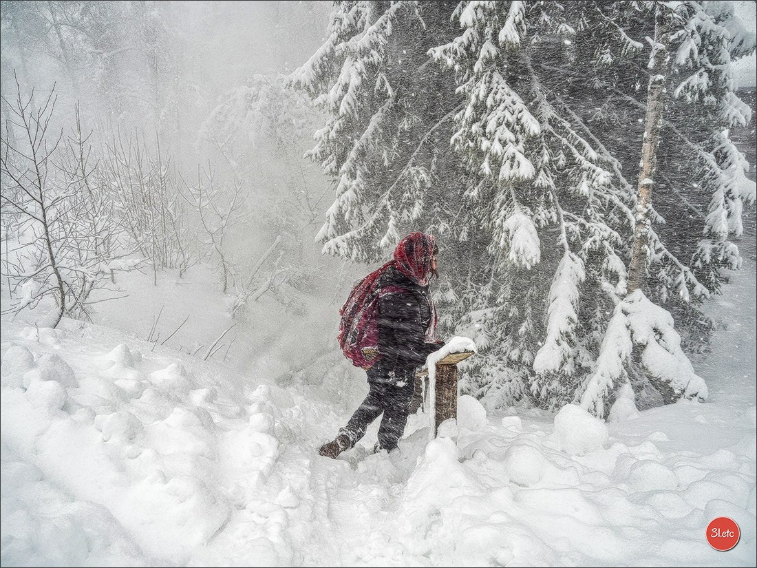 Swiss. Photographe à Strasbourg | Portraits, Studio, Enfants, Événements