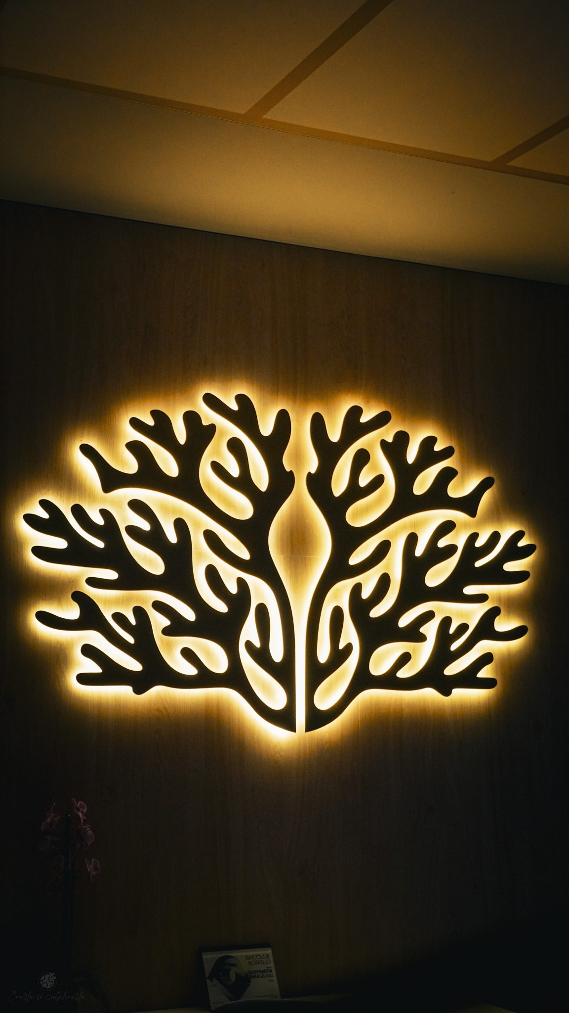 Bacolux Koralyo. Creste si calatoreste