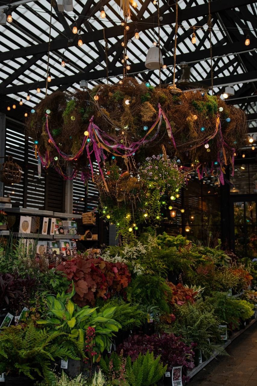 Leila & Vahan. Wedding Photographer & Videographer