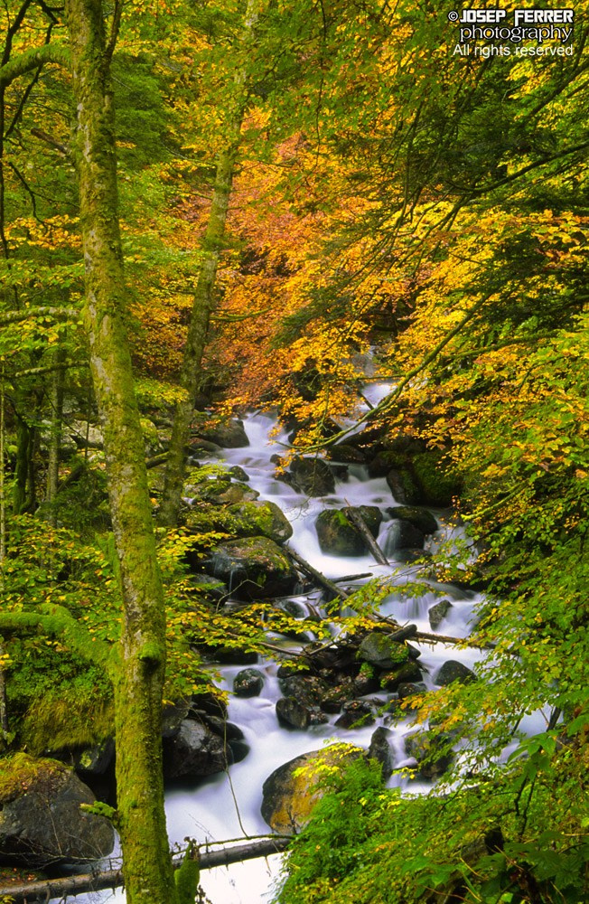 Parc National des Pyrénées, Cauterets, France