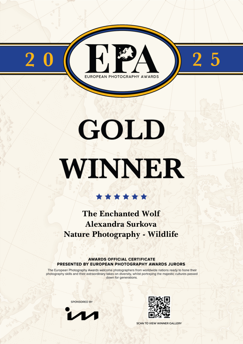 ABOUT. Fine art wildlife photographer Alexandra Surkova