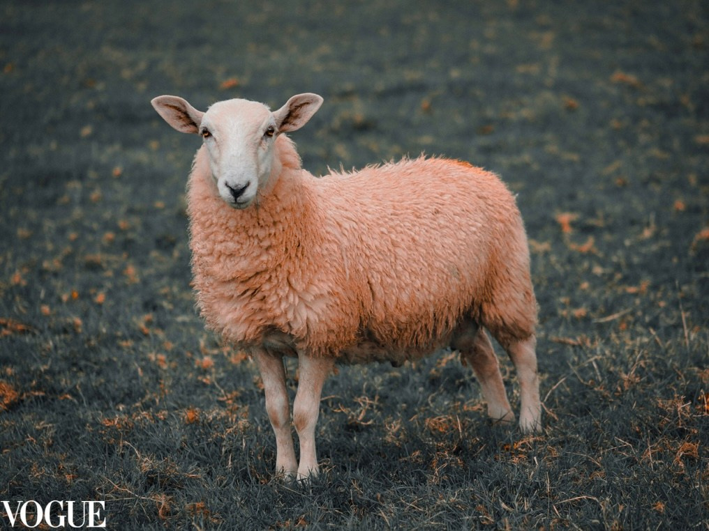 PhotoVogue. Lifestyle & Documentary Photography in Bristol, Bath & London — def0cused