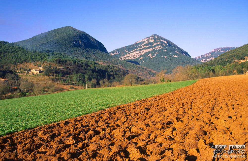 Fields, La Garrotxa, Catalunya
