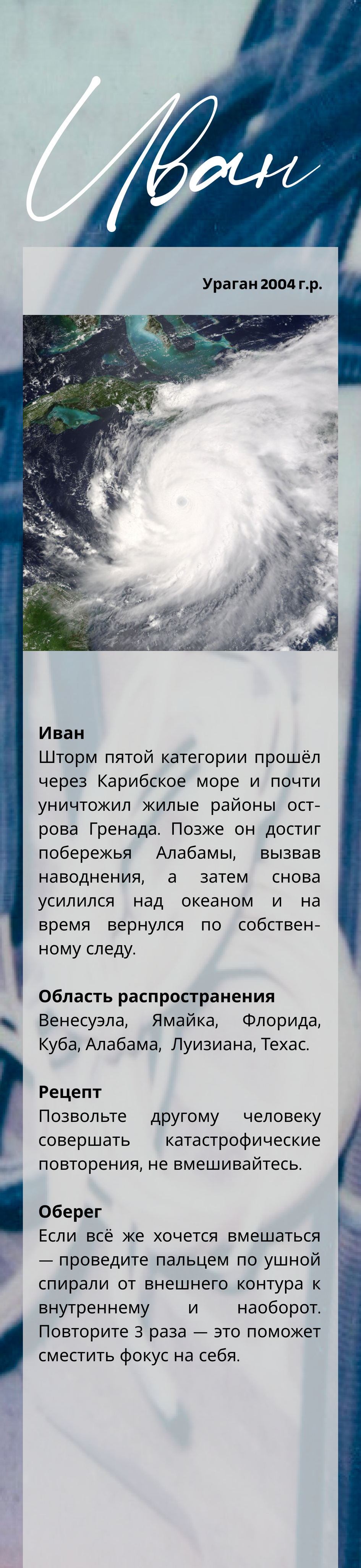 Spira mirabilis| Удивительная спираль. Alina Kugush