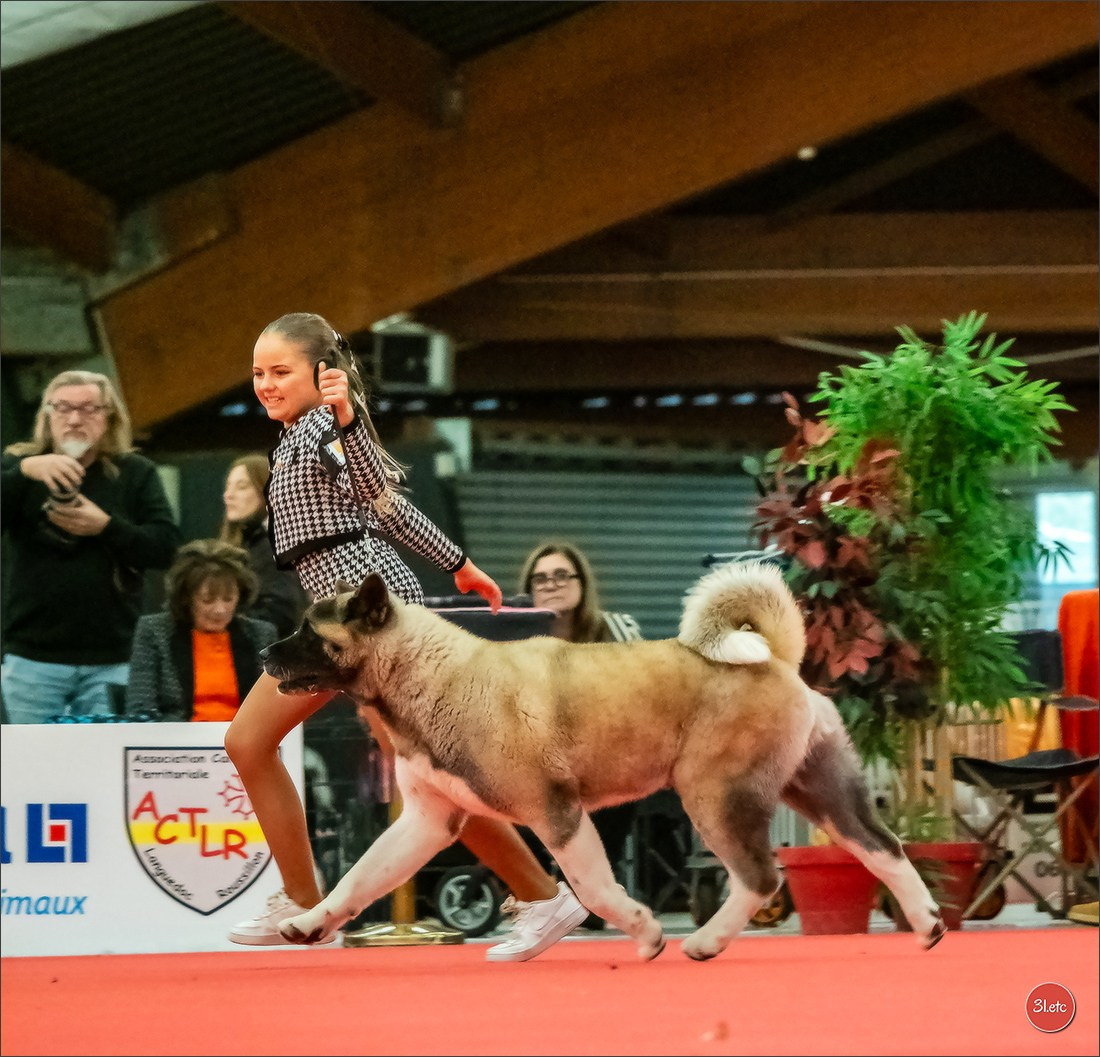 🇫🇷Exposition Canine Internationale de Perpignan. Photographe à Strasbourg | Portraits, Studio, Enfants, Événements