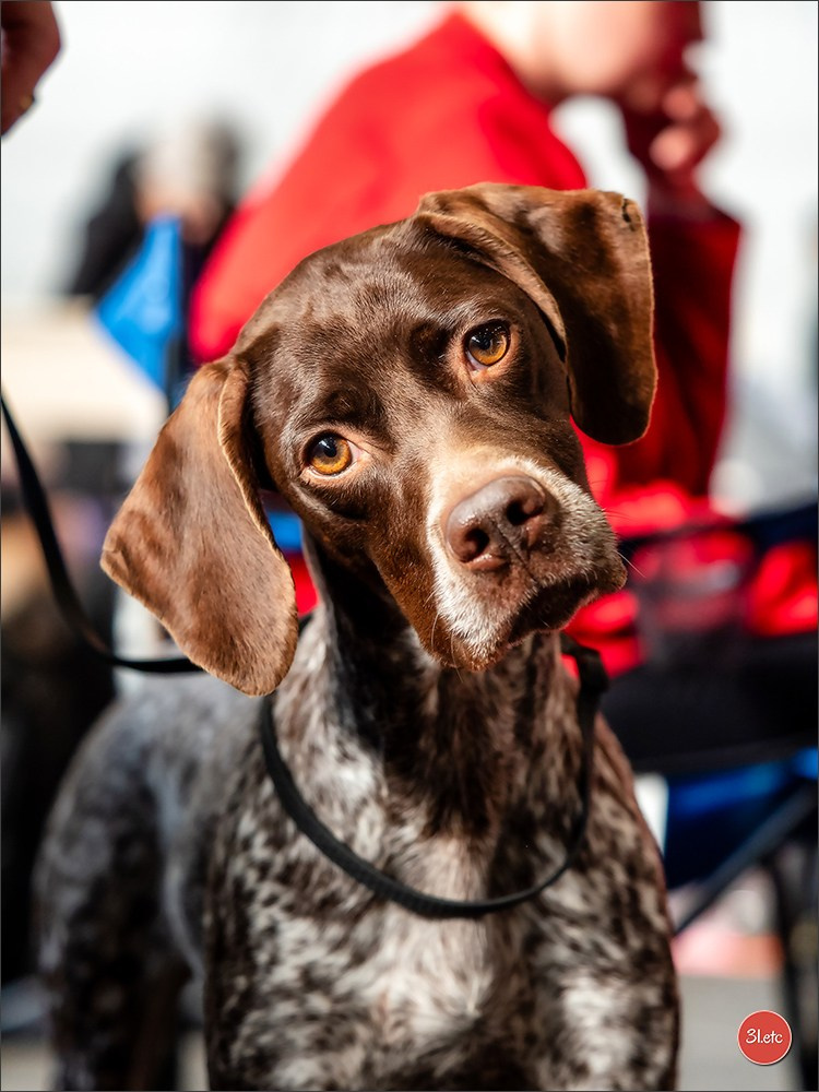 Photographie animalière. Photographe à Strasbourg | Portraits, Studio, Enfants, Événements