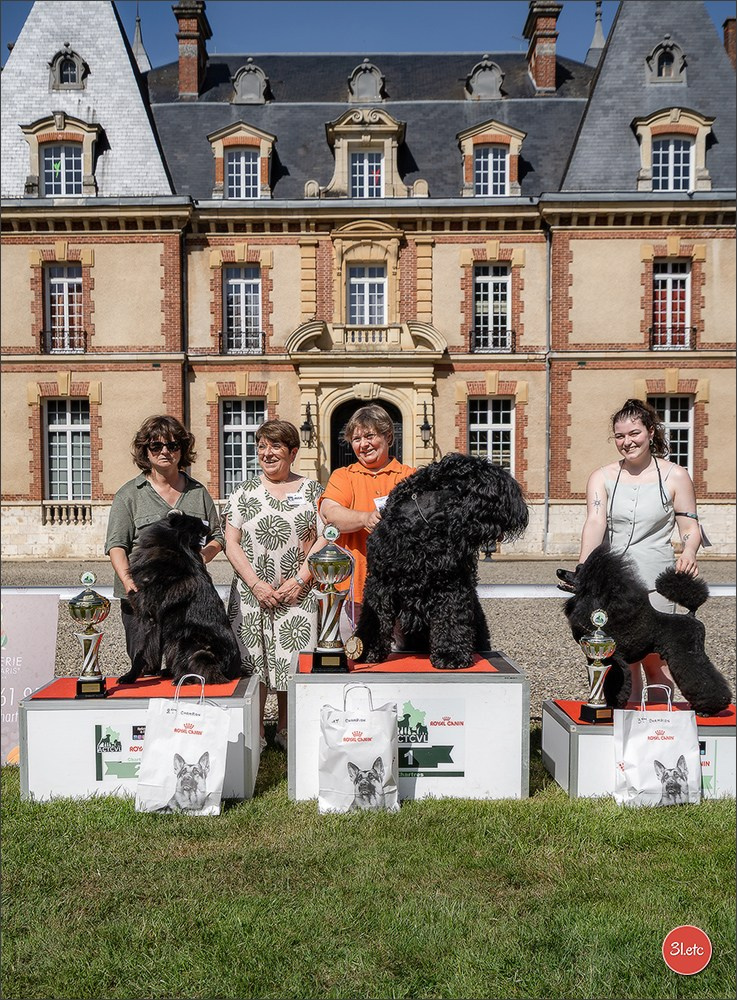 🇫🇷  CHARTRES  🇫🇷  2026  🇫🇷  Exposition Canine Nationale - Château des Boulard