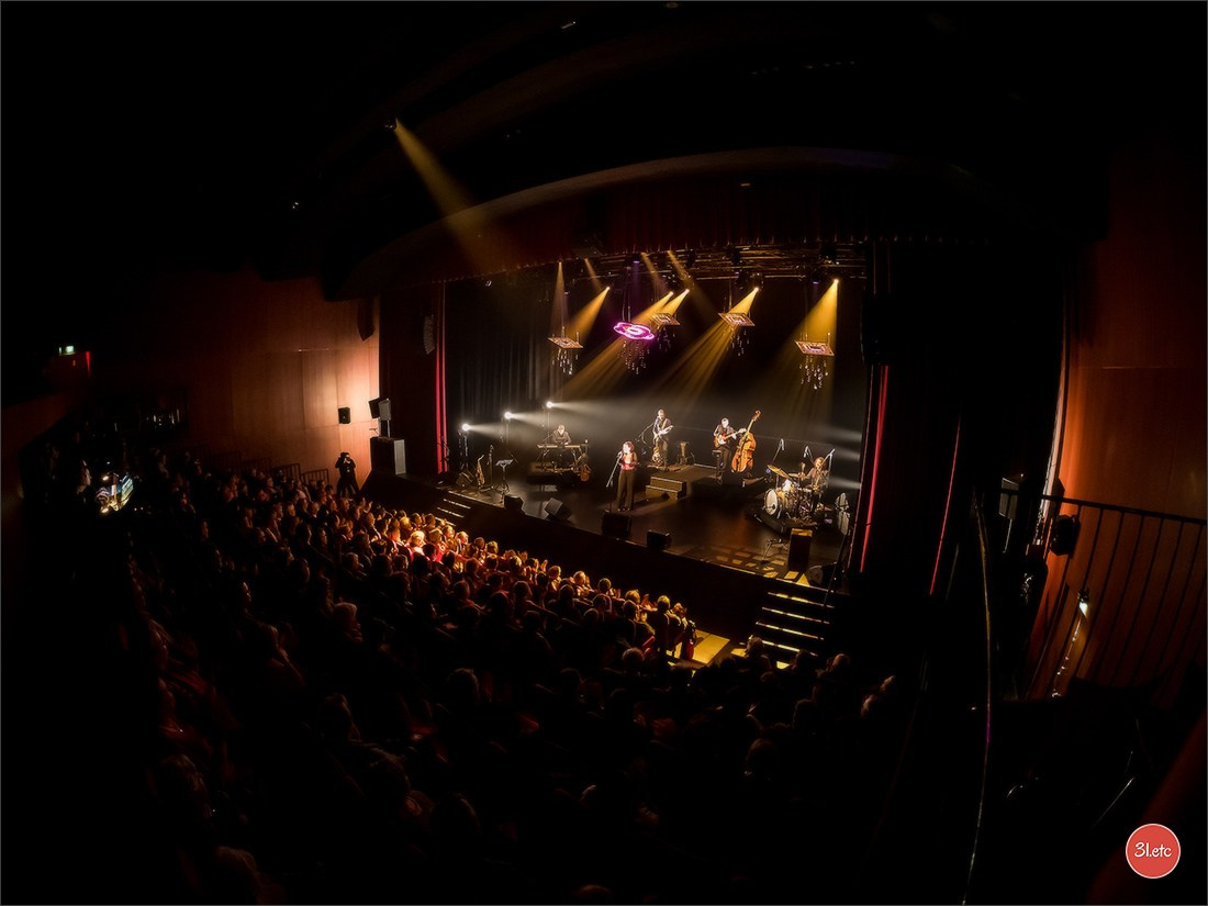 Concerts . Carnavals . Festivals. Photographe à Strasbourg | Portraits, Studio, Enfants, Événements