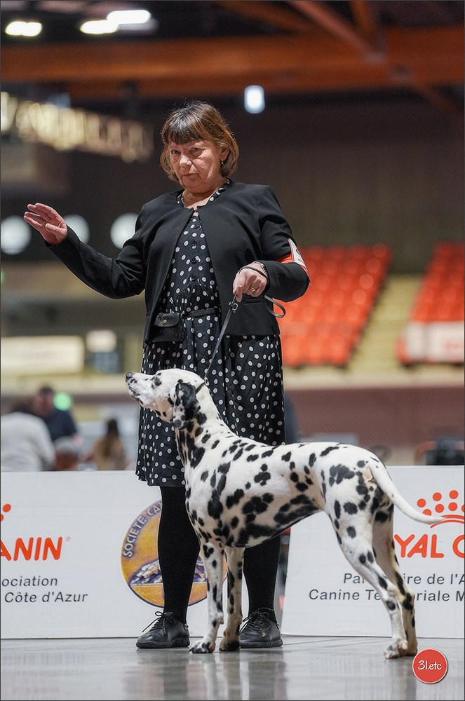 Expo canine 🇫🇷 Martigues 18-19/04/2026