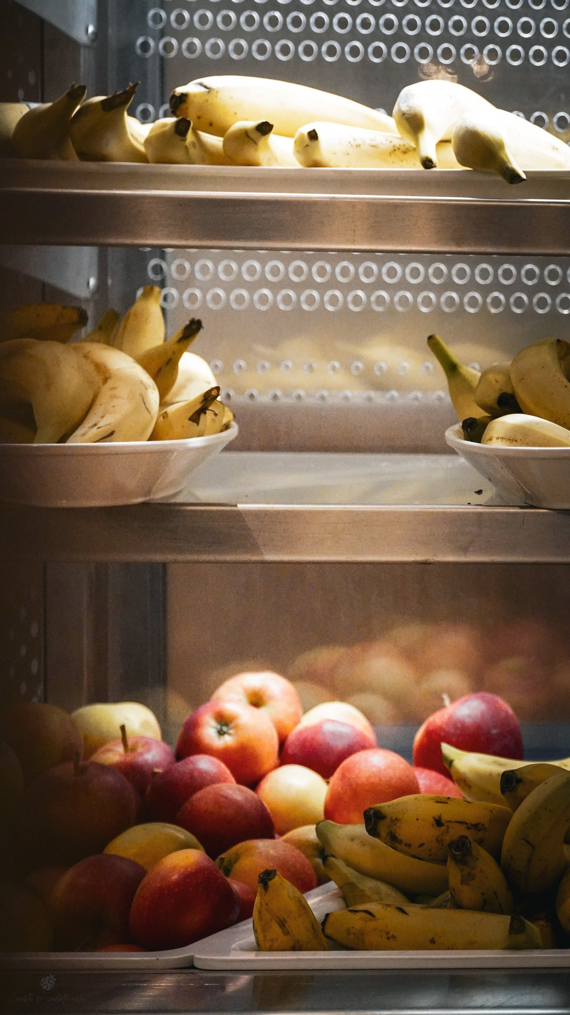 Bacolux Koralyo. Creste si calatoreste