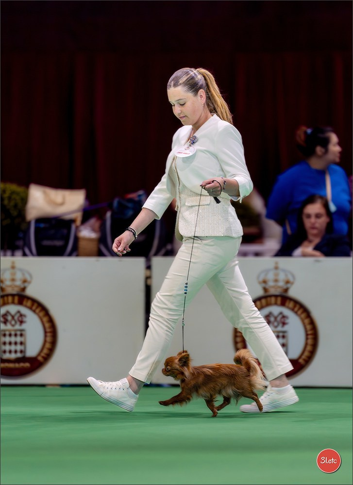 Expo canine 🇲🇨 Monaco 9-10/05/2026. Photographe à Strasbourg | Les animaux, Portraits, Studio, Événements